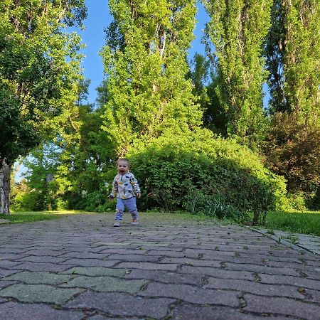 ローザ ホテル エス アパルタマンハズ エステルゴム エクステリア 写真